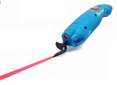 Blue Shark 1